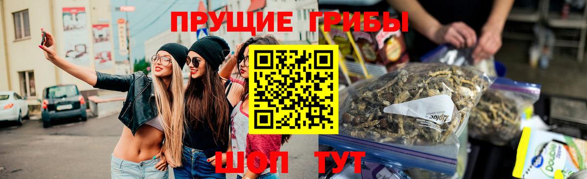 Галлюциногенные грибы GOLDEN TEACHER  Вход с VPN  Надым 